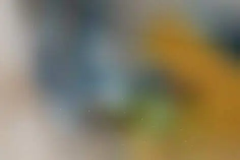 Квест «Во все тяжкие» от Паспарту